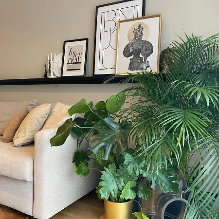 Sweet By Zoom Apartment